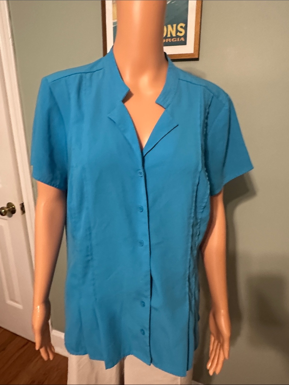 Dana Buchman Bright Turquoise Collared Blouse